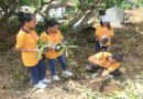 Mahasiswa KKN IKTL di Desa Kolontobo Terlibat dalam Aksi Penanaman Pohon